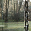 In het bos